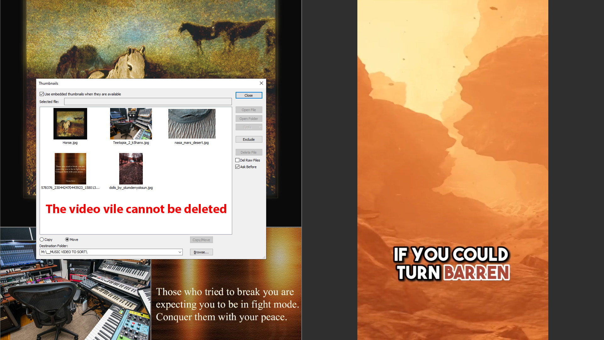 Photowall and Video Delete Screen copy.jpg